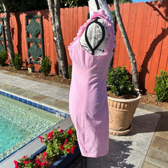 🔥🔥🔥NWT Lilly Pulitzer Phoebe Dress-Pink Lucky Seersucker-NEW WIth TAGS!!🔥 - Picture 6 of 8